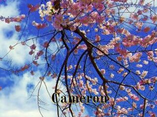 Cameron