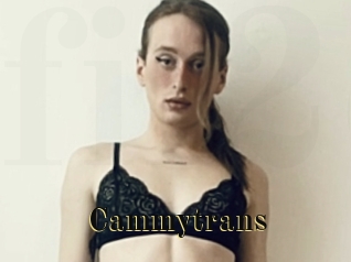 Cammytrans
