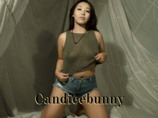 Candicebunny