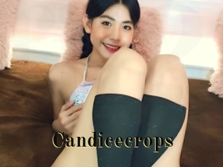 Candicecrops