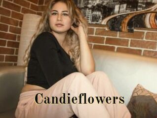 candieflowers Films 2 Q