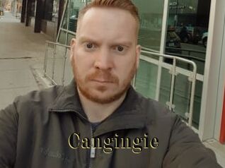 Cangingie