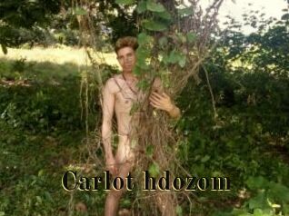Carlot_hdozom