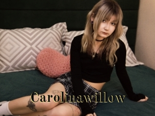 Carolinawillow
