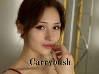 Carrybush
