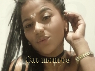 Cat_monroe