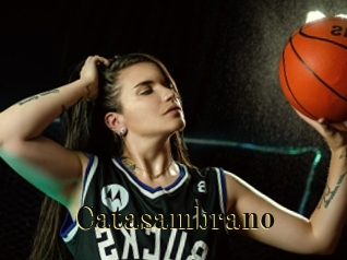 catasambrano Films 2 Q