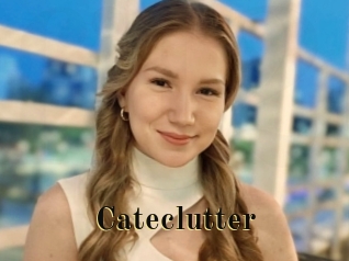Cateclutter