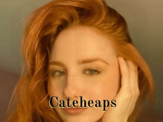 Cateheaps