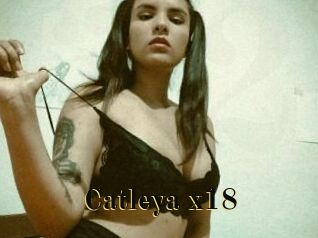 Catleya_x18