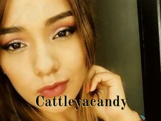 cattleyacandy Films 2 Q