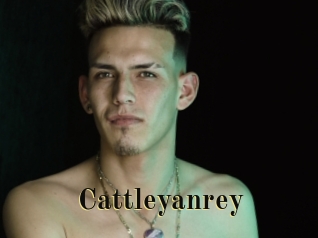 cattleyanrey Films 2 Q