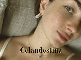 cclandestina Films 2 Q