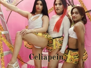 celiapein Films 2 Q