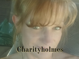 Charityholmes