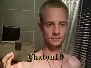 Chaton19