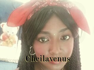 Cheilavenus