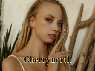 cherrynorth Films 2 Q