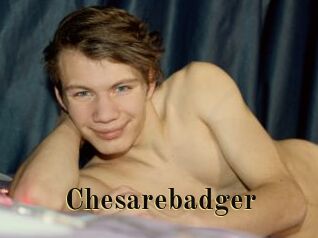 Chesarebadger