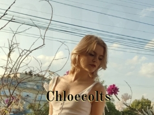 Chloecolts