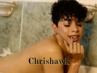 chrishawk Films 2 Q