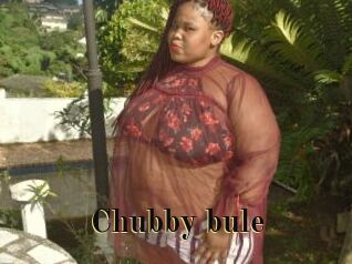 Chubby_bule