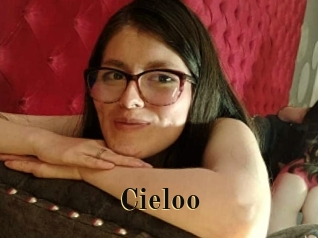 cieloo Films 2 Q