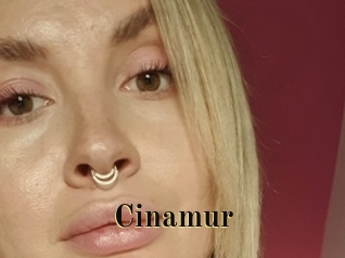 Cinamur