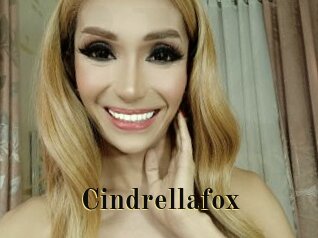 Cindrellafox