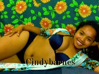 Cindybarnes