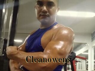 cleanowens Films 2 Q