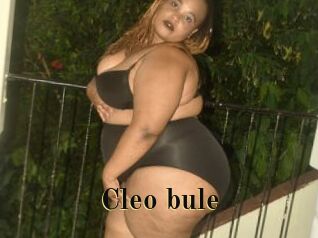 Cleo_bule