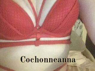 cochonneanna Films 2 Q