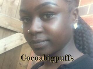 Cocoabigpuffs
