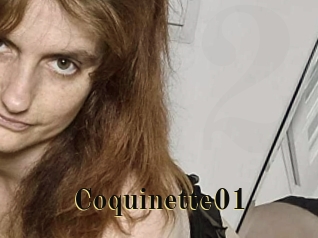 Coquinette01