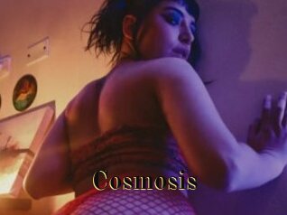 Cosmosis