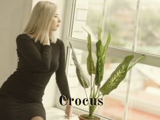 Crocus