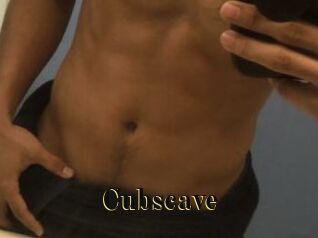 Cubscave