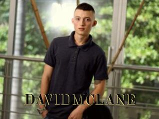 DAVIDMCLANE