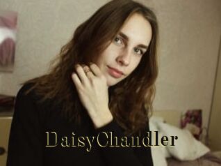 Daisy_Chandler