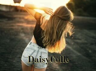 DaisyColle