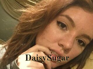 Daisy_Sugar