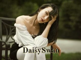 DaisySwan