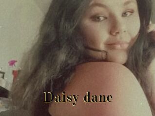Daisy_dane
