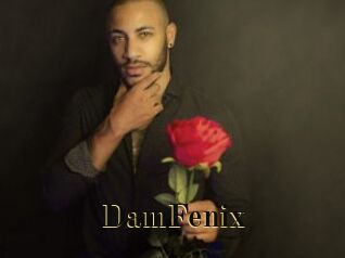 DamFenix