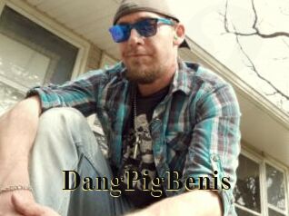 DangPigBenis
