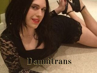 Danni_trans
