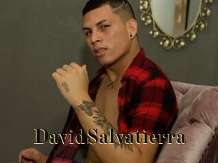 DavidSalvatierra