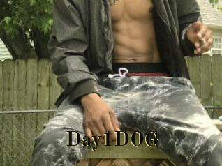 Day1DOG