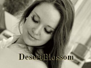 DesertBlossom Films 2 Q